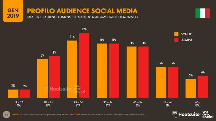 audience social media